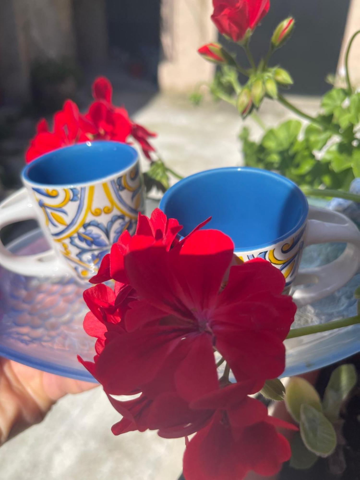 ジェラーチェ La Rosa Blu Bed & Breakfast エクステリア 写真